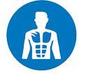 Anatomy